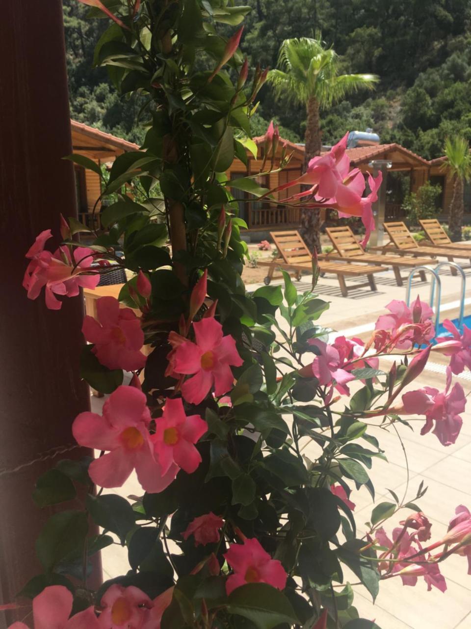 Dolunay Apart Hotel Çıralı Exterior foto