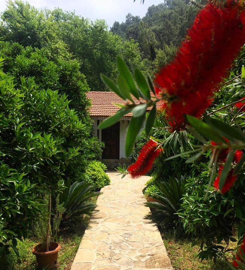 Dolunay Apart Hotel Çıralı Exterior foto